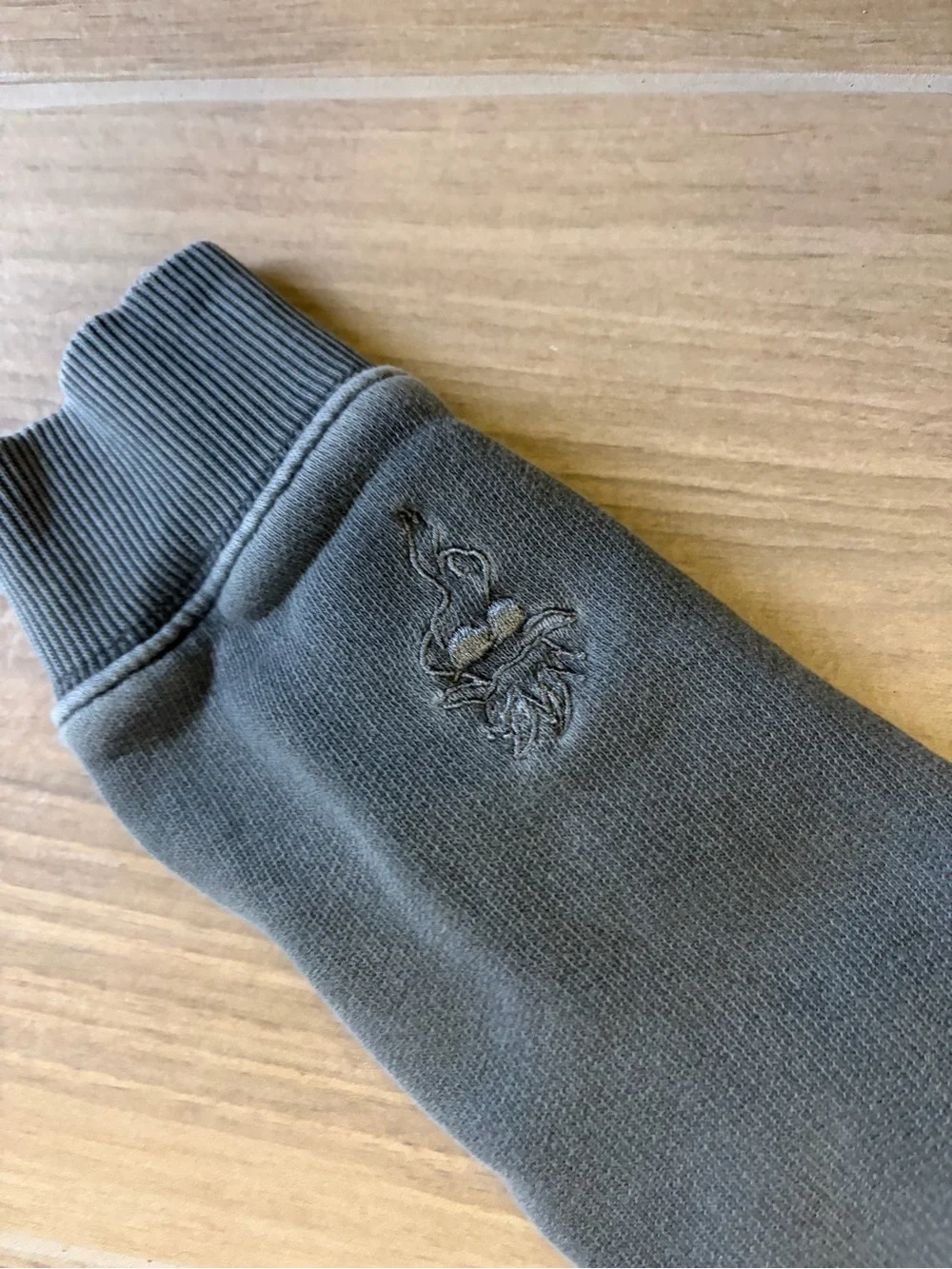 Kids Goat USA Hooded Sweatshirt in Faded Green